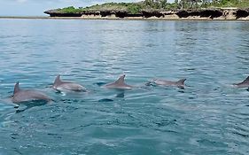 Wasini Raha Snorkeling And Diving
